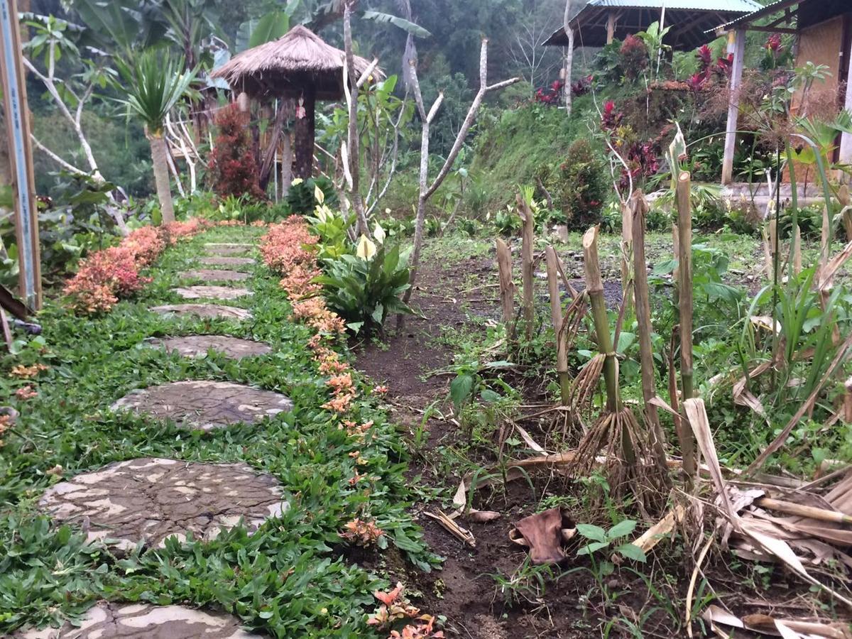 Ferienwohnung Bali Tree House Pelangi Bedugul  Exterior foto