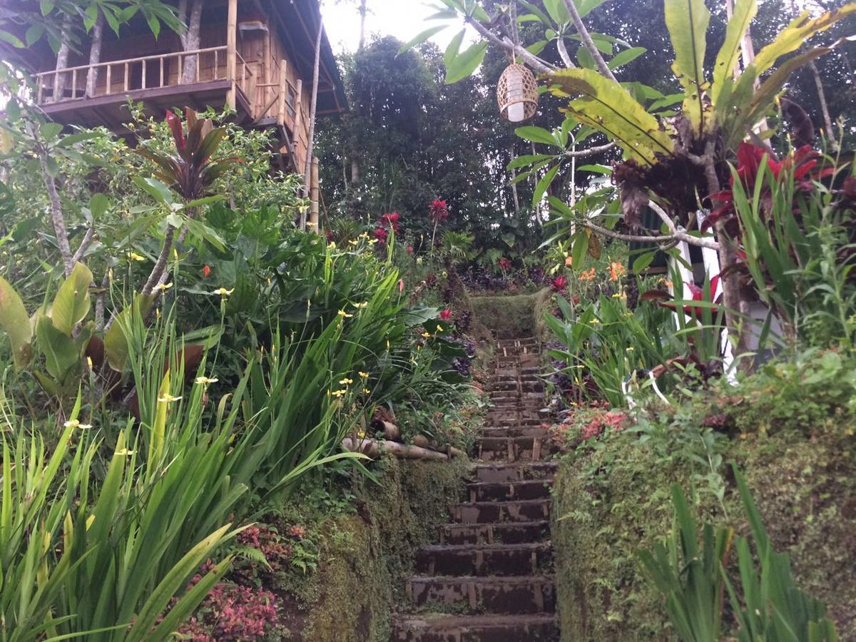 Ferienwohnung Bali Tree House Pelangi Bedugul  Exterior foto