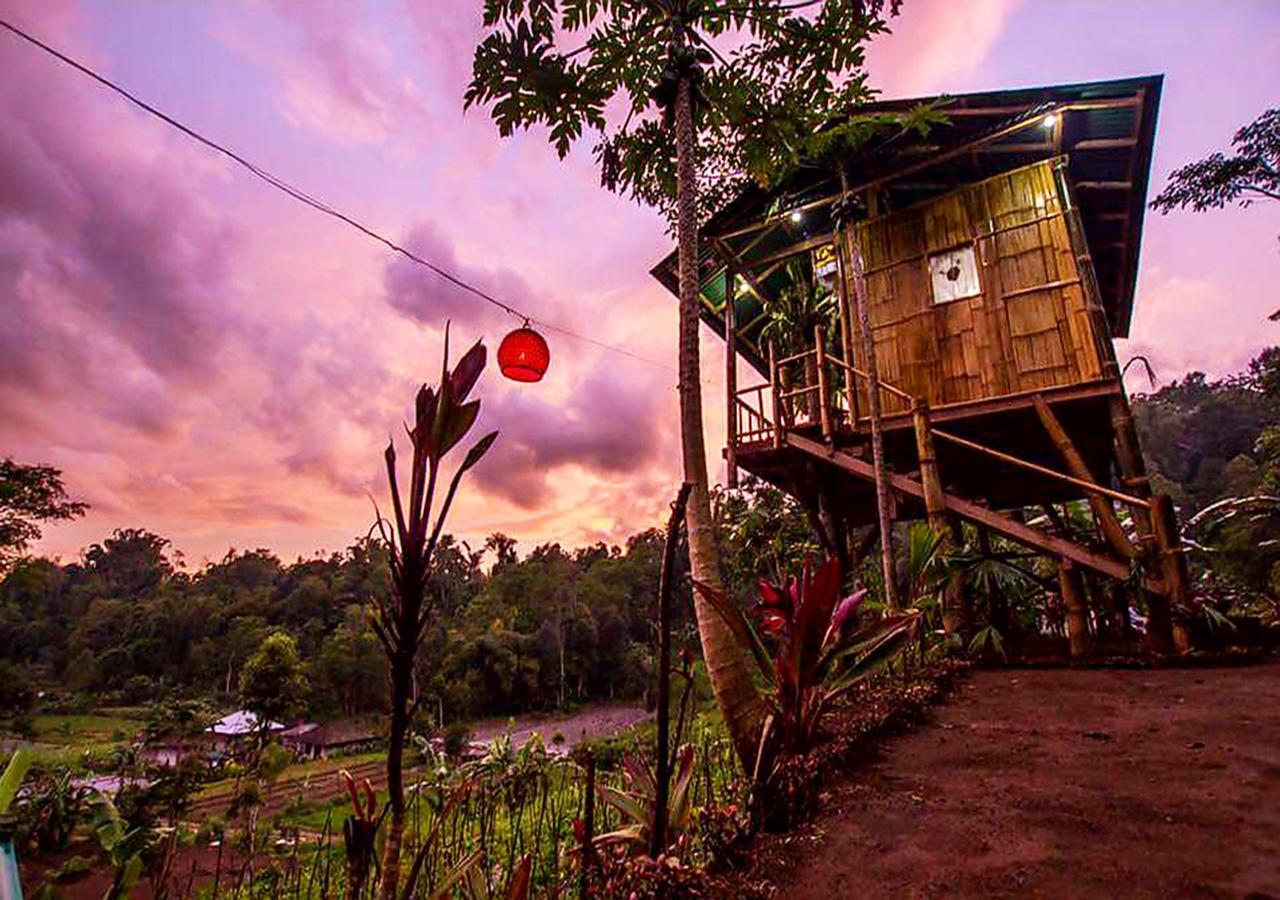 Ferienwohnung Bali Tree House Pelangi Bedugul  Exterior foto