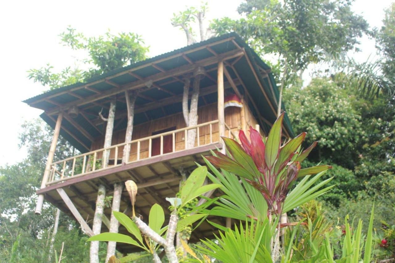 Ferienwohnung Bali Tree House Pelangi Bedugul  Exterior foto