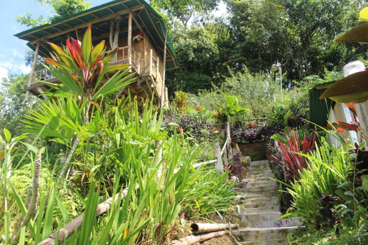 Ferienwohnung Bali Tree House Pelangi Bedugul  Exterior foto