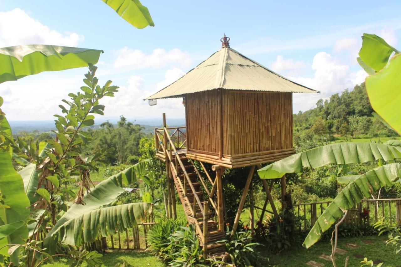 Ferienwohnung Bali Tree House Pelangi Bedugul  Exterior foto