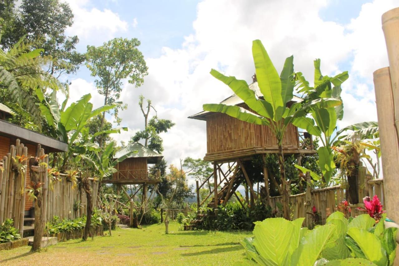 Ferienwohnung Bali Tree House Pelangi Bedugul  Exterior foto