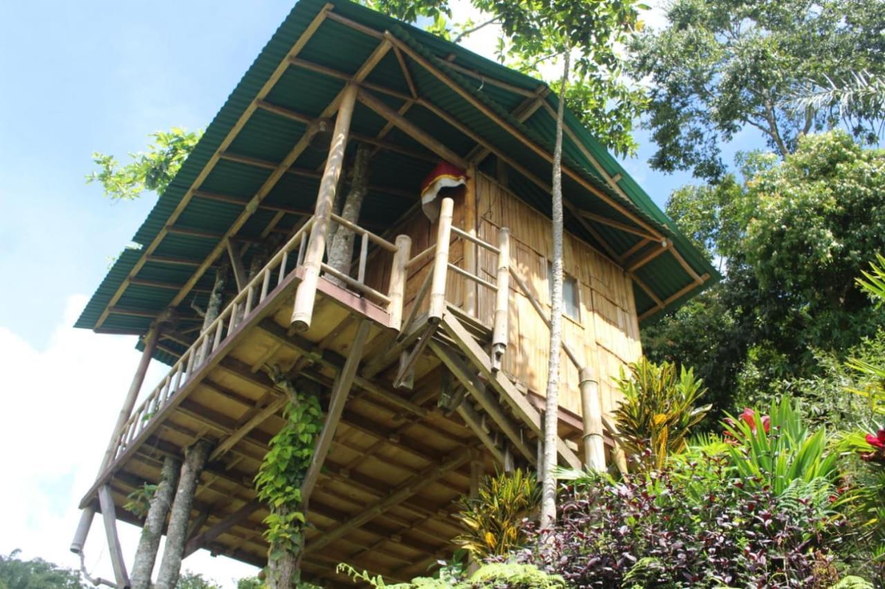 Ferienwohnung Bali Tree House Pelangi Bedugul  Exterior foto
