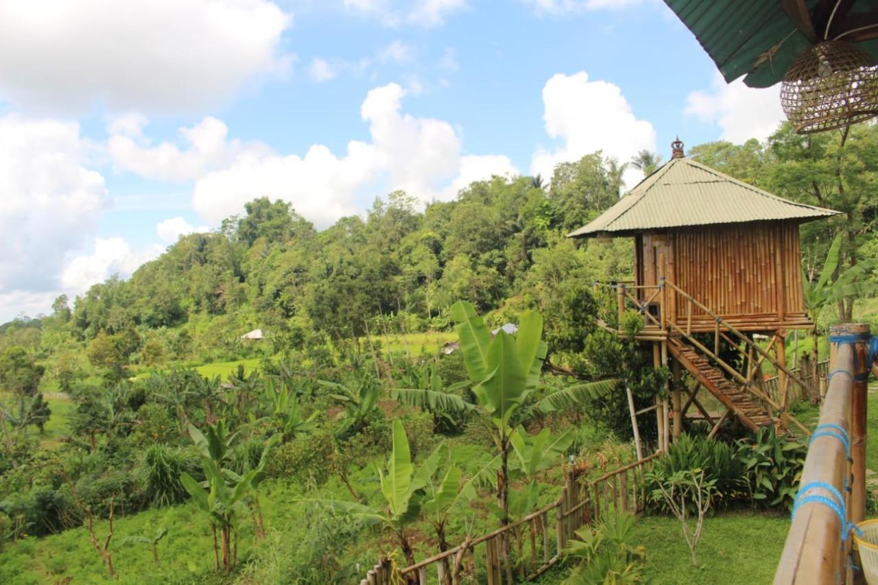 Ferienwohnung Bali Tree House Pelangi Bedugul  Exterior foto